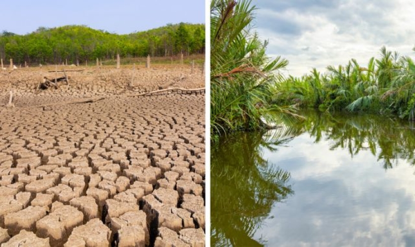 9 cosas que le sucederán a nuestro planeta si la selva amazónica se quema por completo