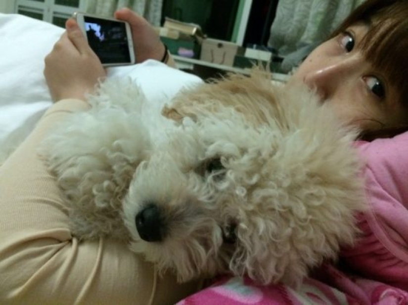 9 estereotipos populares sobre China que están lejos de la verdad 9 estereotipos populares sobre China que están lejos de la verdad