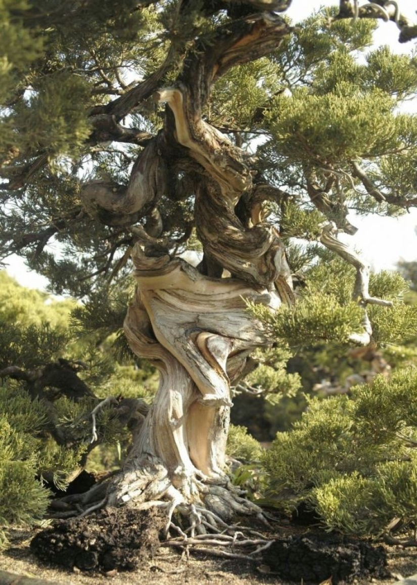 9 fotos que pueden ampliar tus horizontes en un par de segundos