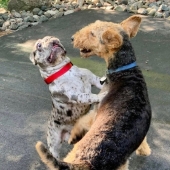 9 fotos que son más divertidas que una broma 9 fotos que son más divertidas que una broma