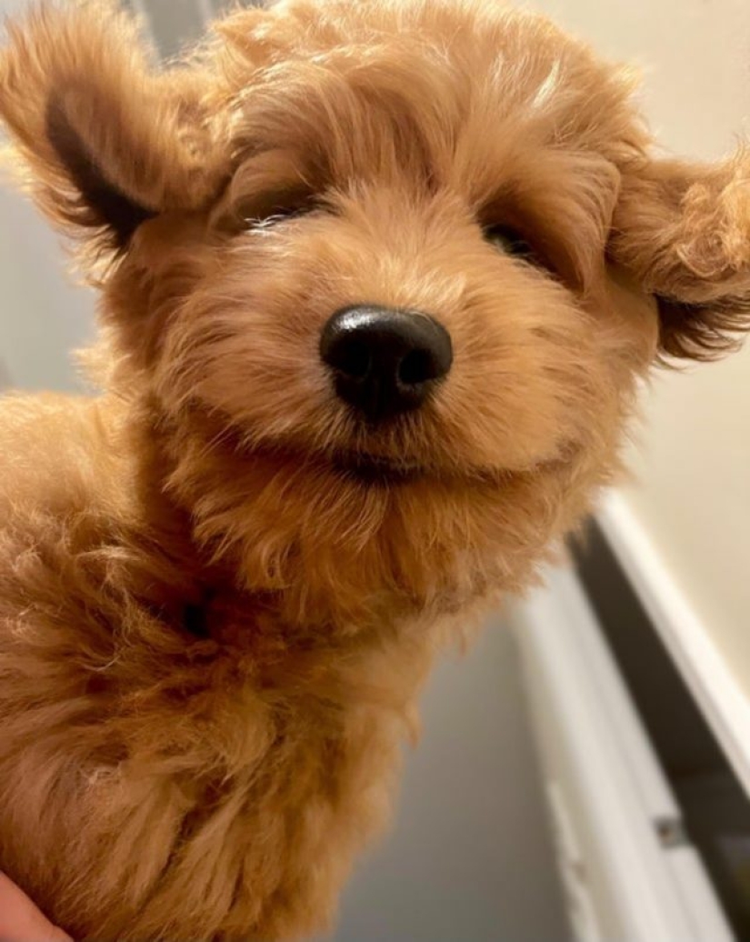 9 fotos que son más divertidas que una broma