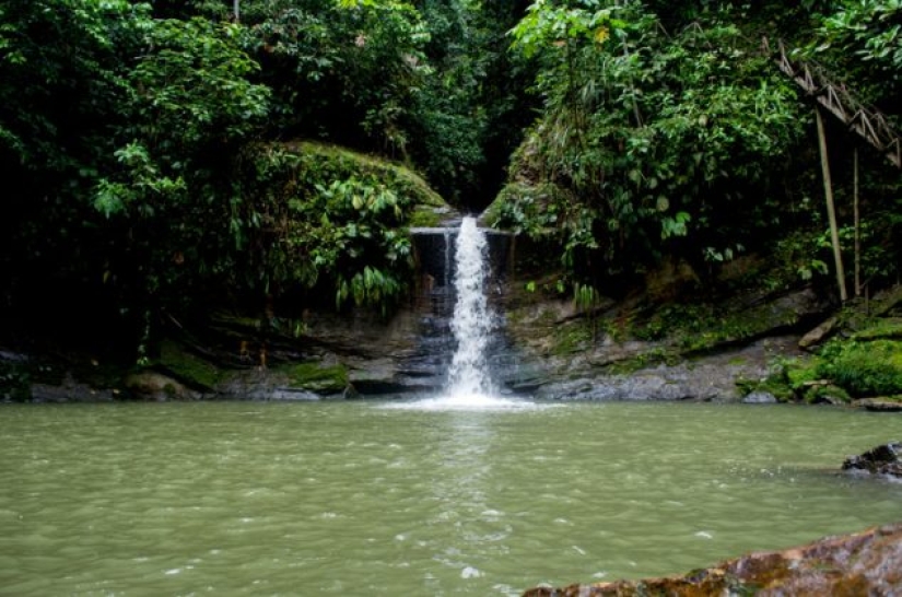 9 hechos científicos que son sorprendentemente ciertos 9 hechos científicos que son sorprendentemente ciertos