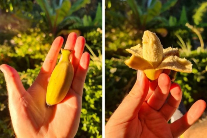 9 Moments When Nature Decided To Shower Us With Joy