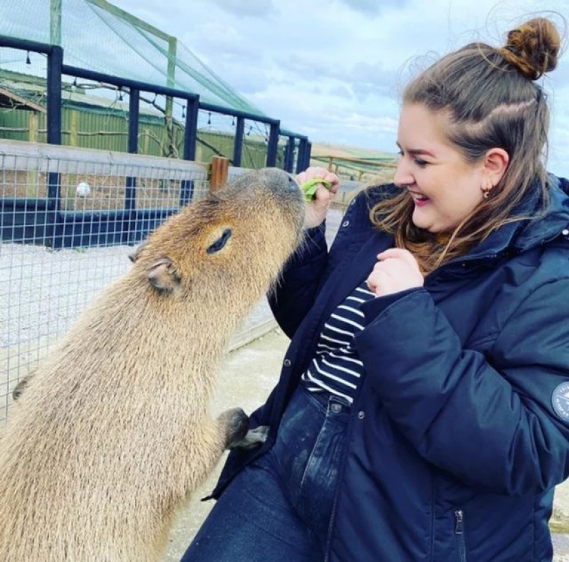 9 Moments When Nature Decided To Shower Us With Joy