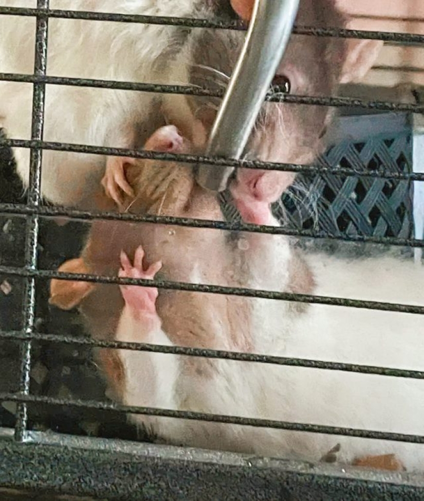 9 Moments When Nature Decided To Shower Us With Joy