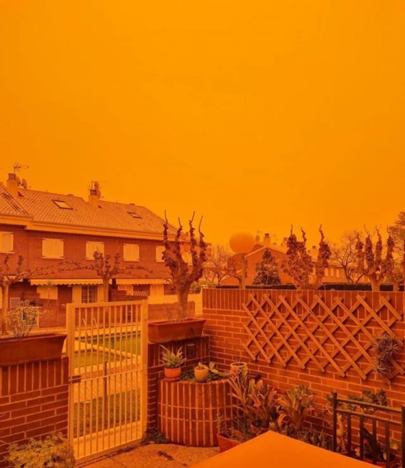 9 Moments When Nature Decided To Shower Us With Joy