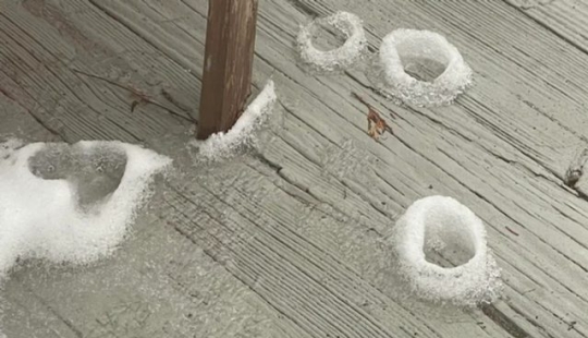 9 Moments When Nature Decided To Shower Us With Joy