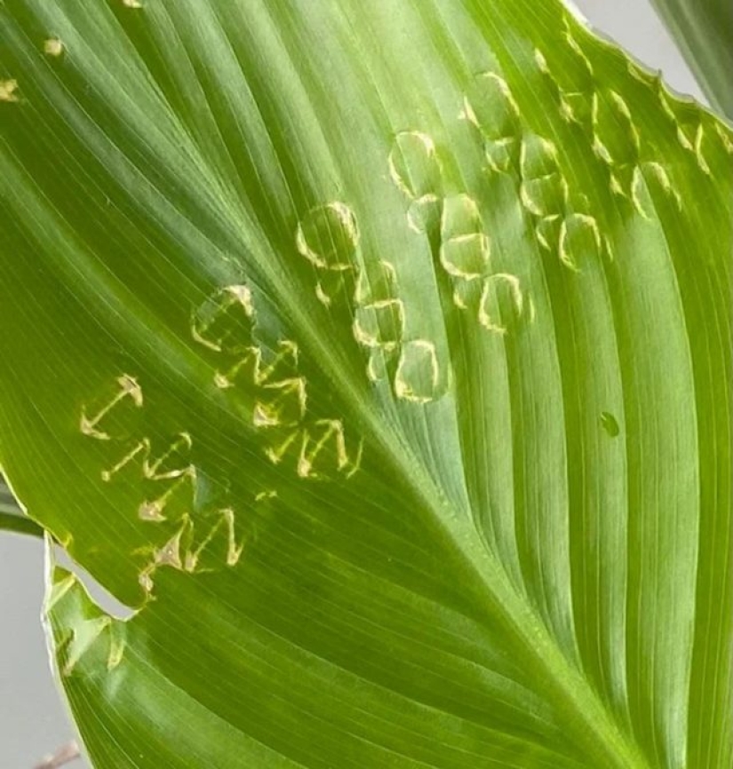 9 Moments When Nature Decided To Shower Us With Joy