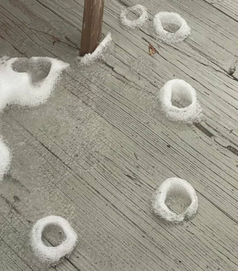 9 Moments When Nature Decided To Shower Us With Joy