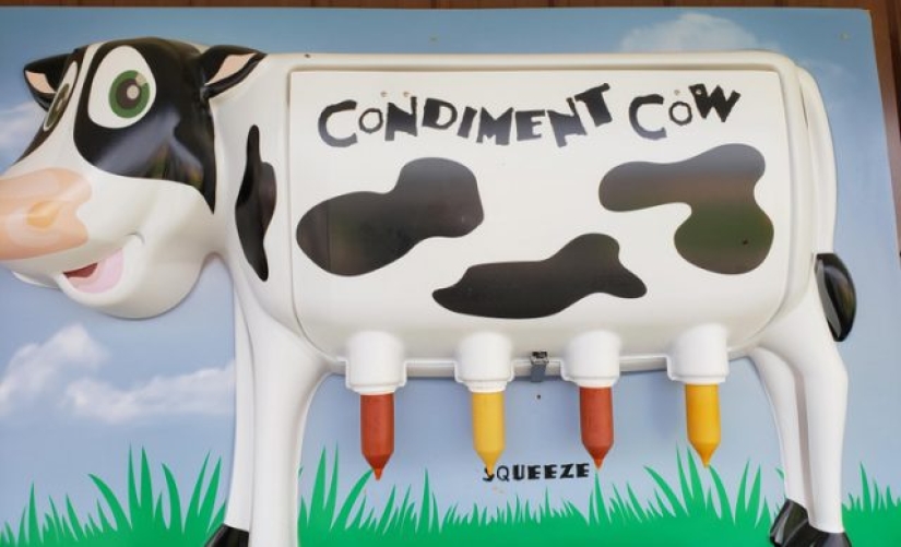 9 personas que eligieron la creatividad por encima de todo