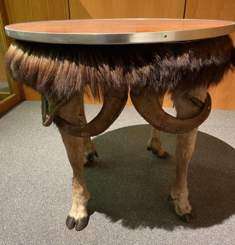 9 personas que eligieron la creatividad por encima de todo