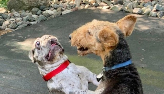 9 photos that are funnier than a joke