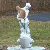 9 Relaxed Cats That Will Feel At Home Anywhere