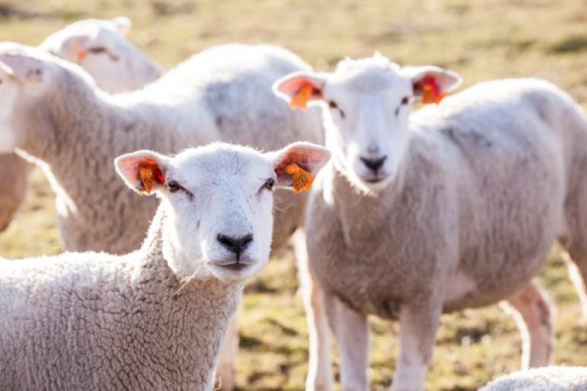 9 Scientific Facts That Are Surprisingly True 9 Scientific Facts That Are Surprisingly True