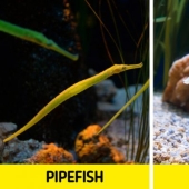 9 Scientific Facts That Are Surprisingly True