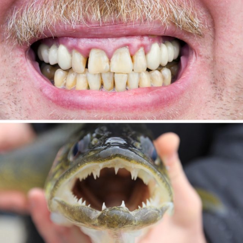 9 Scientific Facts That Are Surprisingly True 9 Scientific Facts That Are Surprisingly True