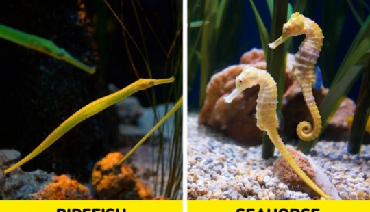 9 Scientific Facts That Are Surprisingly True