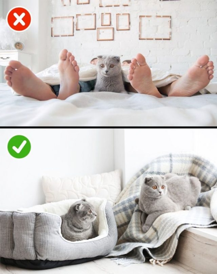 9 things happy couples do before bed