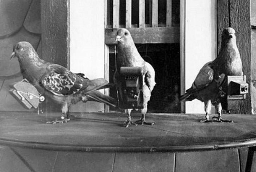 9 world's first photos 9 world's first photos