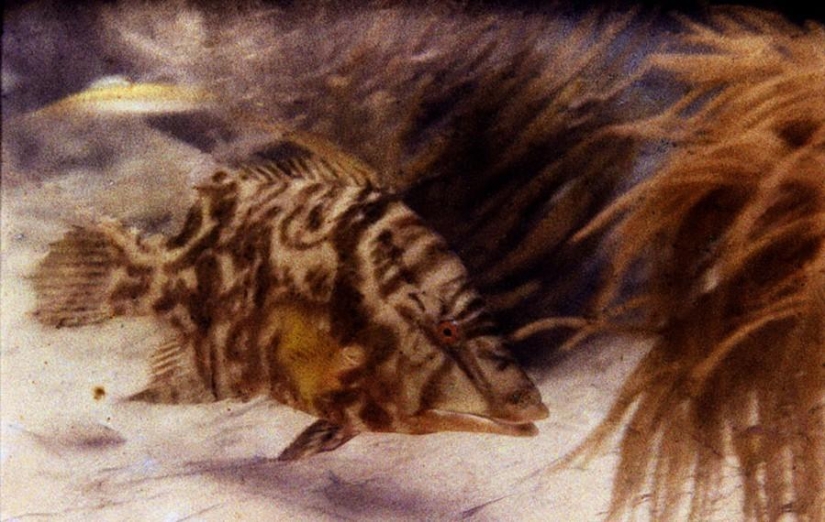 9 world's first photos 9 world's first photos