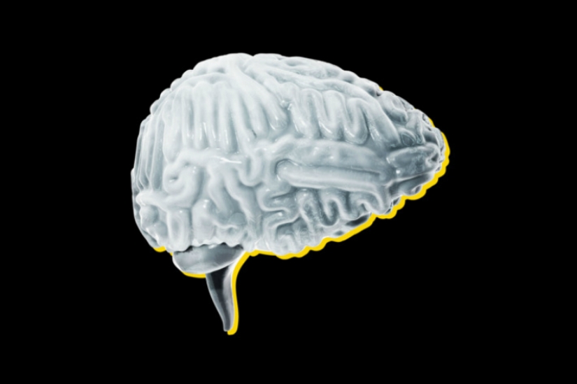 A billionaire from Silicon Valley will be killed and his brain will be loaded into a computer, and he will pay for it