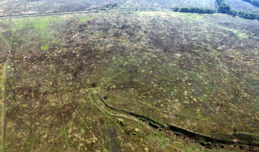 A bird's-eye view of the world: Paragliding