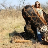 A bloodthirsty huntress killed a rare black giraffe and sewed a holster from its skin