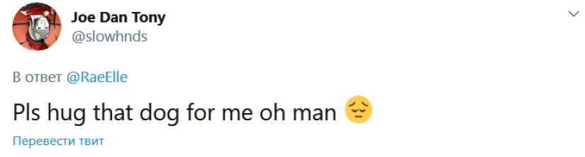 A bulldog named Big Daddy, sad because of quarantine, has become a new network meme