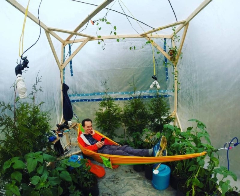 A Canadian blogger and plants tried to breathe at each other's expense. What came of it A Canadian blogger and plants tried to breathe at each other's expense. What came of it