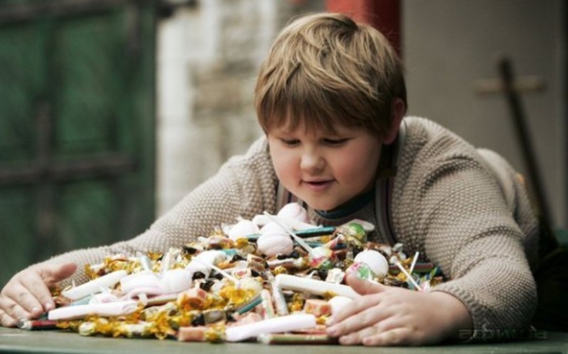 A Canadian company has opened a vacancy for a sweet tooth A Canadian company has opened a vacancy for a sweet tooth