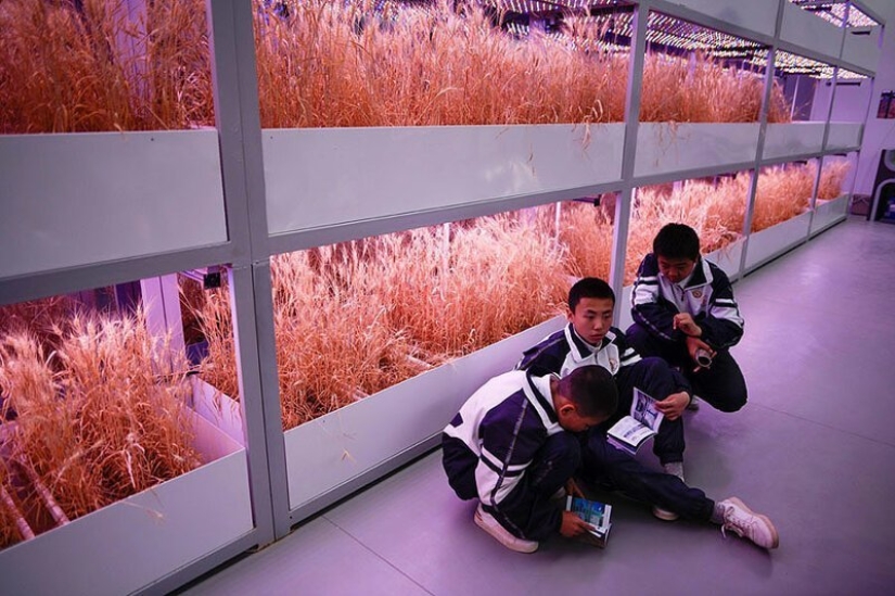 A Chinese company has created a simulation of Mars in the Gobi Desert