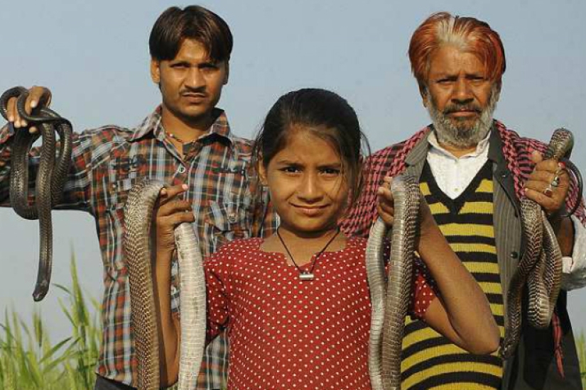 A cobra girl from India gets along well with dangerous snakes