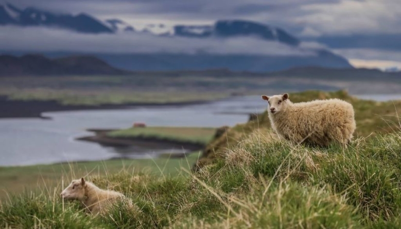 A couple from Poland visited 50 countries and managed to spend only $ 8 a day at the same time