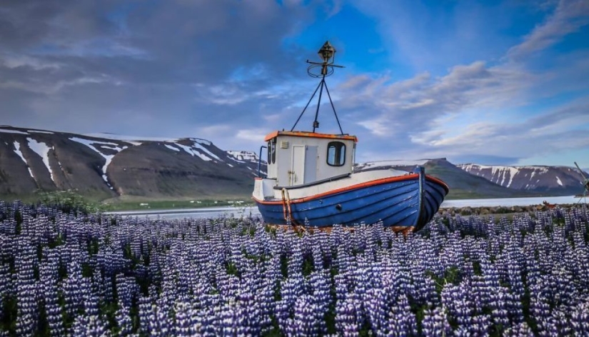 A couple from Poland visited 50 countries and managed to spend only $ 8 a day at the same time