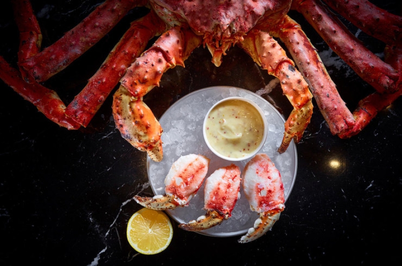 A dangerous guest for fish and humans has been found in the Moskva River