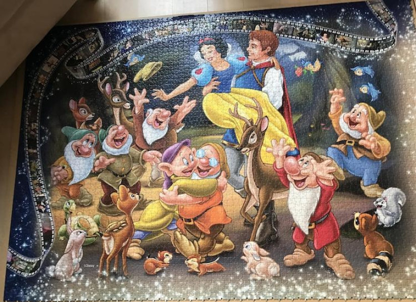 A Danish student collected the world's largest puzzle in 460 hours