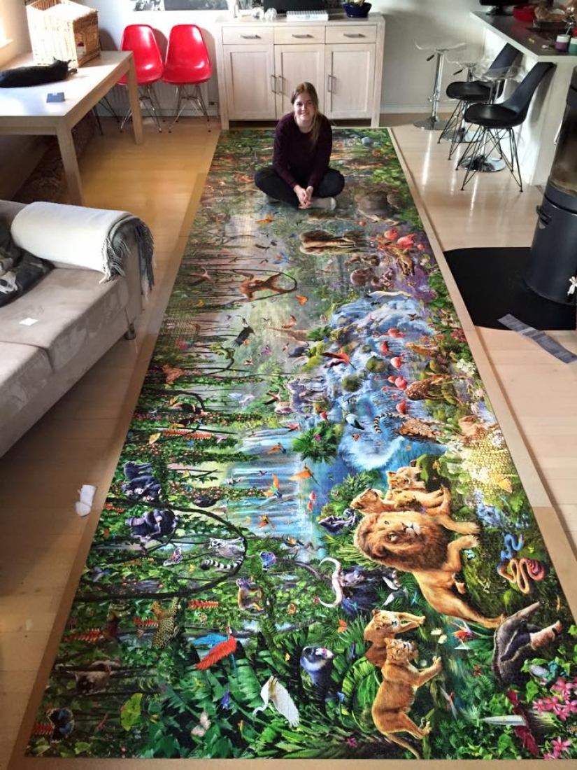 A Danish student collected the world's largest puzzle in 460 hours