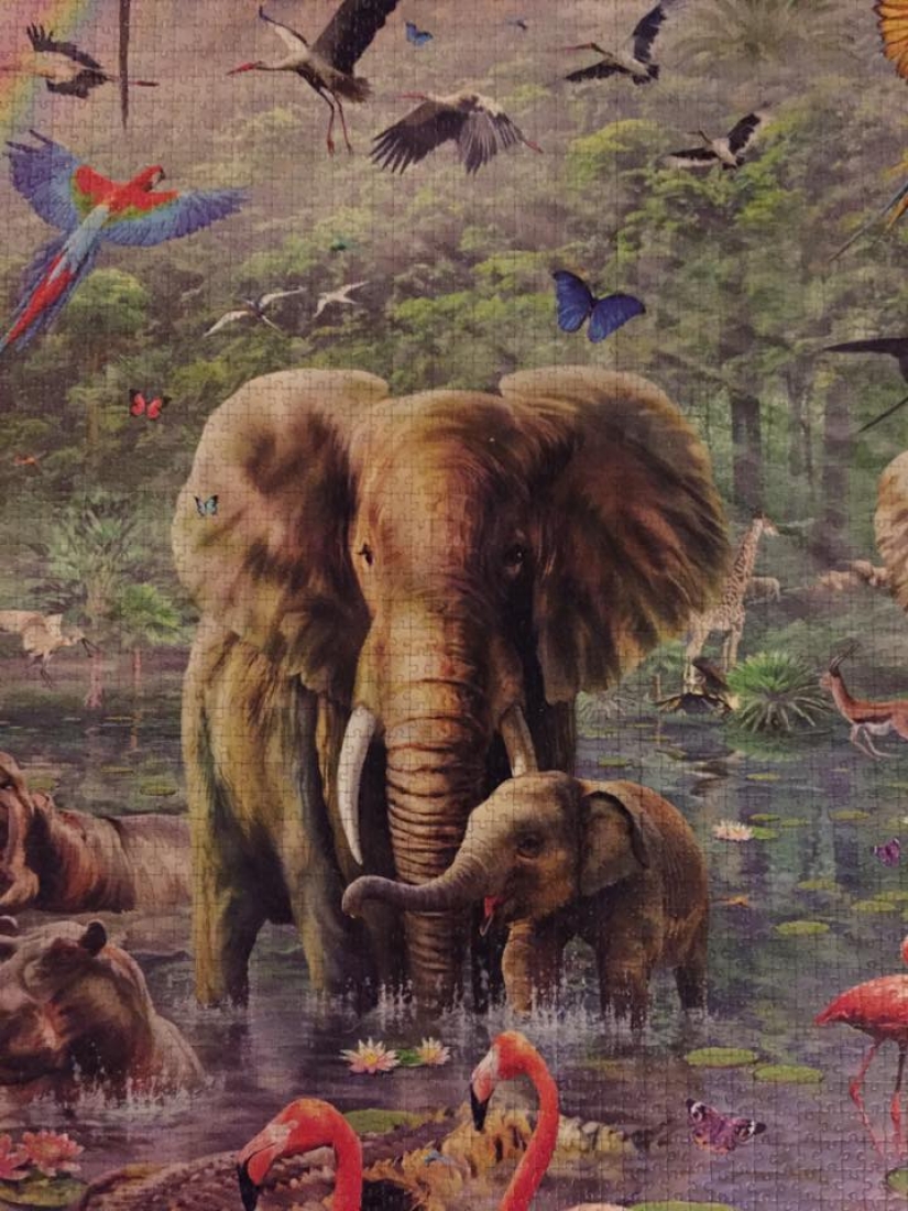 A Danish student collected the world's largest puzzle in 460 hours