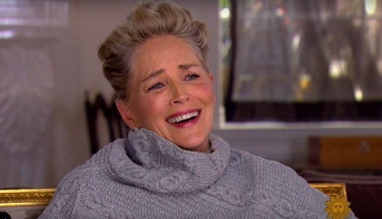 A drop of adequacy in a sea of idiocy: Sharon Stone responded brilliantly to a question about harassment in Hollywood