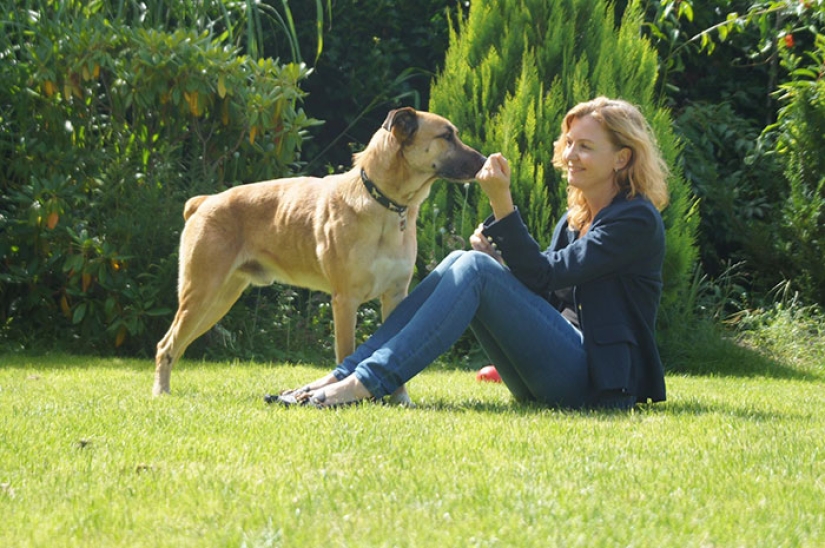 A flight attendant sheltered a stray dog who met her every time near a hotel in Buenos Aires