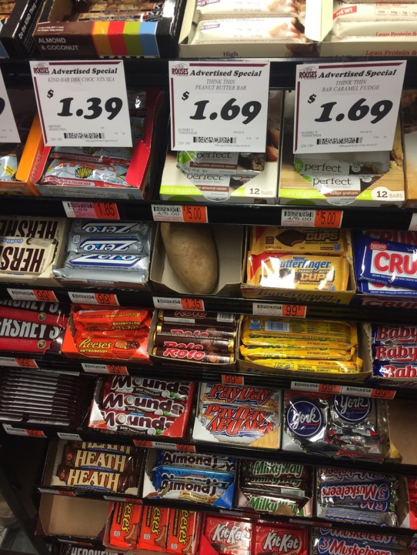 A friend among strangers: a deer in England was "adopted" by a herd of cows