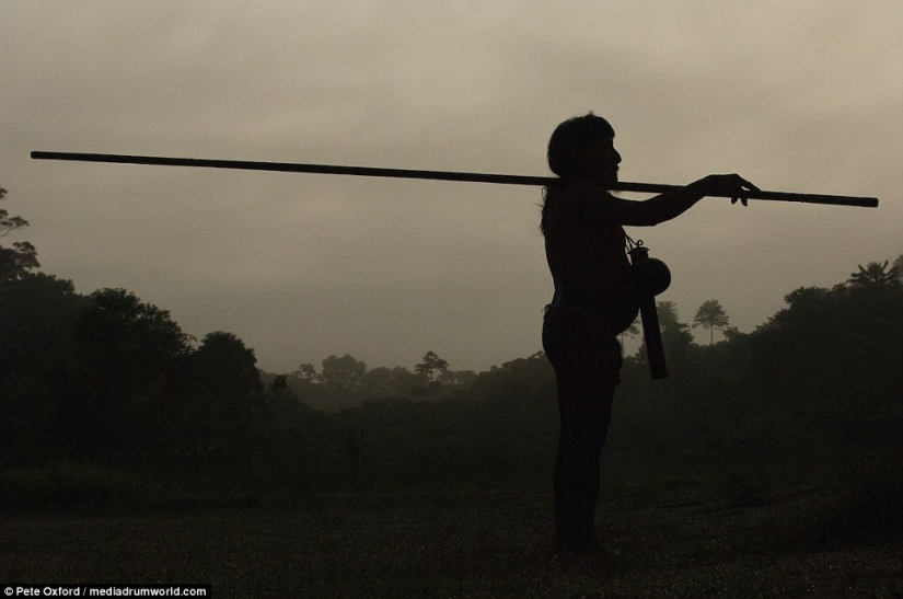 A friend among strangers: the photographer made friends with a tribe almost untouched by civilization A friend among strangers: the photographer made friends with a tribe almost untouched by civilization