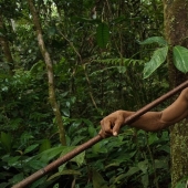 A friend among strangers: the photographer made friends with a tribe almost untouched by civilization