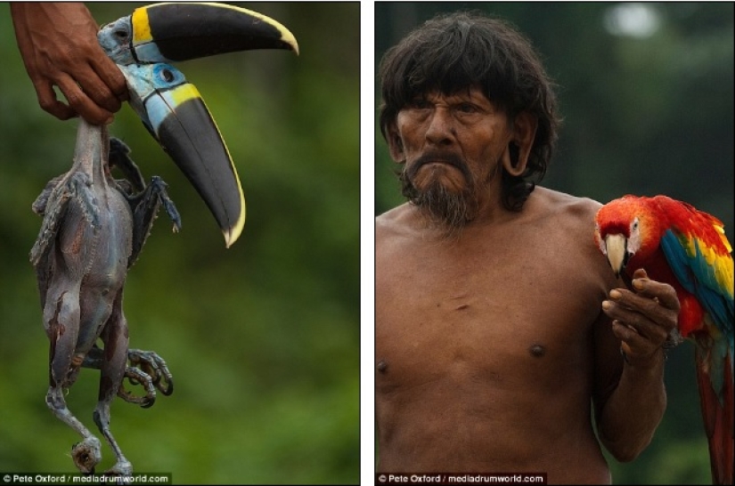 A friend among strangers: the photographer made friends with a tribe almost untouched by civilization A friend among strangers: the photographer made friends with a tribe almost untouched by civilization