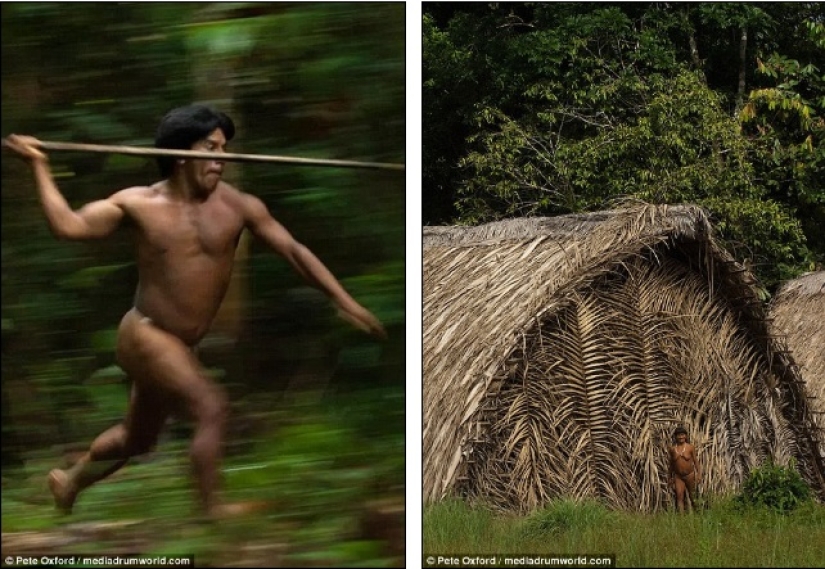 A friend among strangers: the photographer made friends with a tribe almost untouched by civilization A friend among strangers: the photographer made friends with a tribe almost untouched by civilization