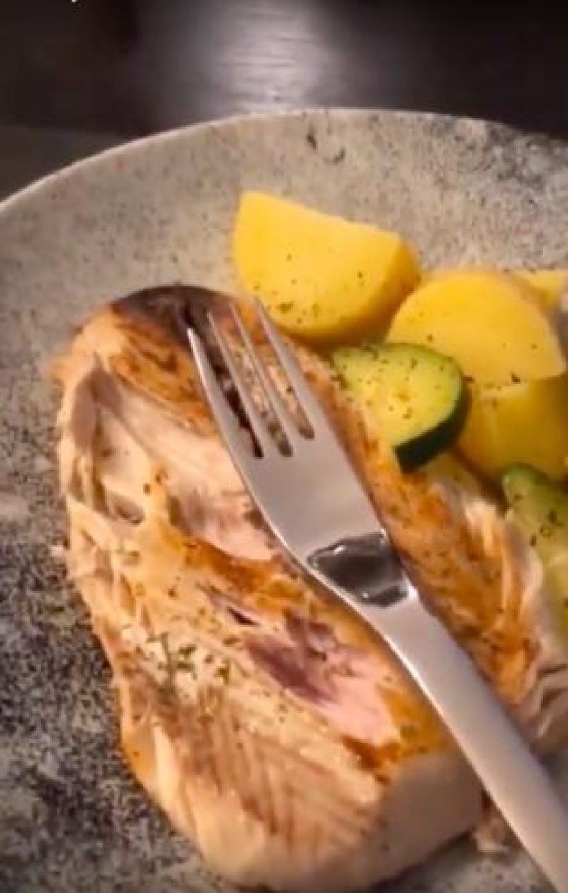 A German blogger showed how he eats a dolphin and became an object of hatred. The prank had to be urgently exposed A German blogger showed how he eats a dolphin and became an object of hatred. The prank had to be urgently exposed