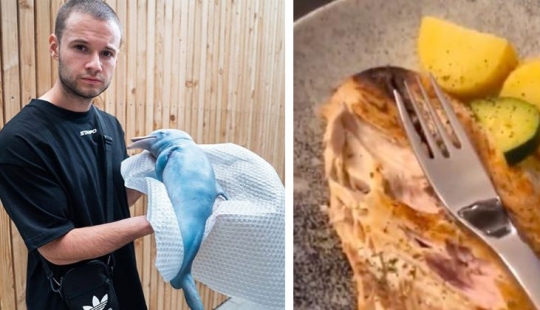 A German blogger showed how he eats a dolphin and became an object of hatred. The prank had to be urgently exposed A German blogger showed how he eats a dolphin and became an object of hatred. The prank had to be urgently exposed