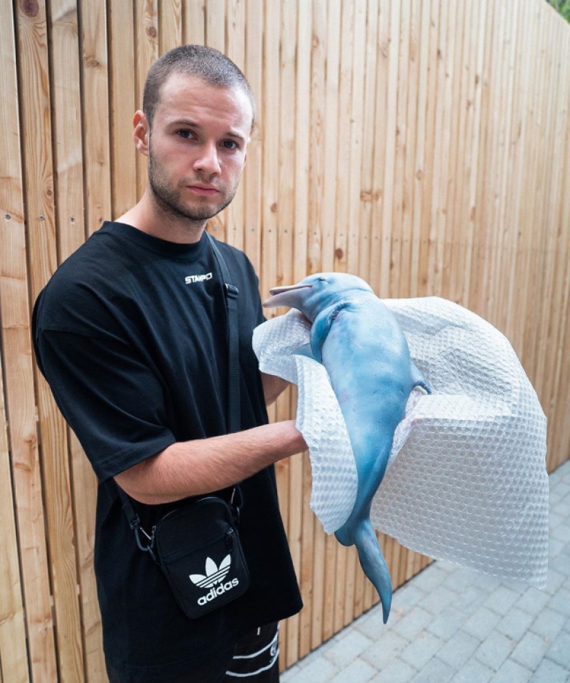 A German blogger showed how he eats a dolphin and became an object of hatred. The prank had to be urgently exposed A German blogger showed how he eats a dolphin and became an object of hatred. The prank had to be urgently exposed