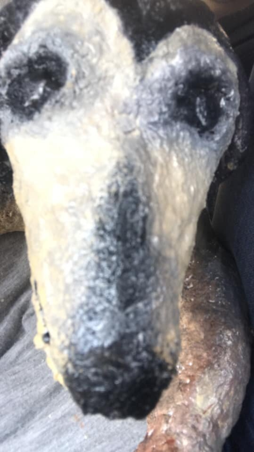 A gift with your own hands and what came out of it