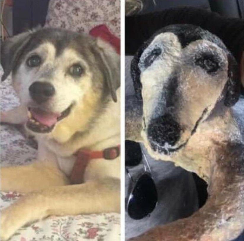 A gift with your own hands and what came out of it